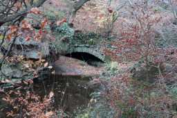 Shotley Grove Mill Race exposed stone arch and brickwork 21/11/2021